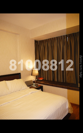 D'Lotus (D12), Apartment #54430232